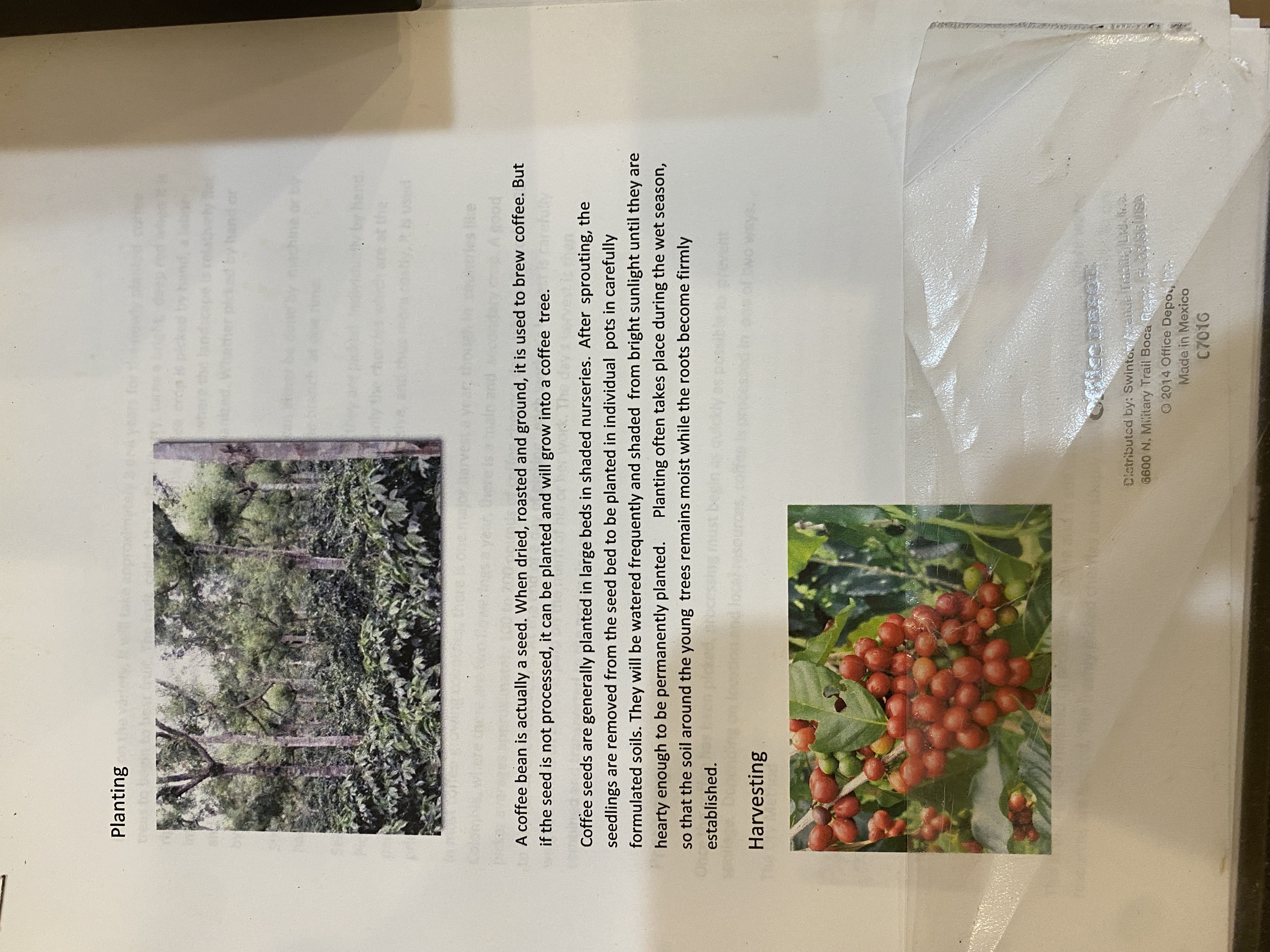 Roasters Book Page 46