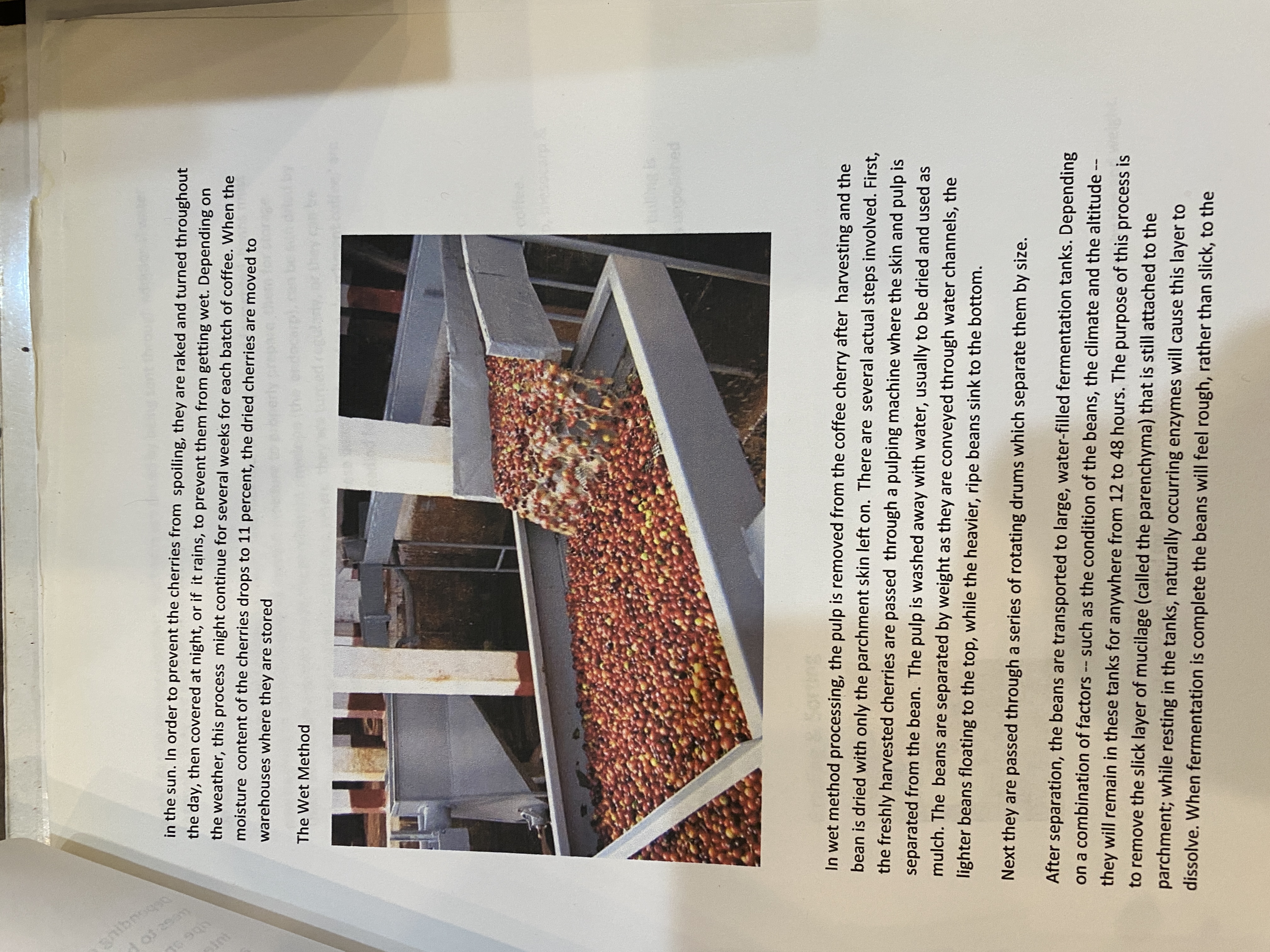 Roasters Book Page 48